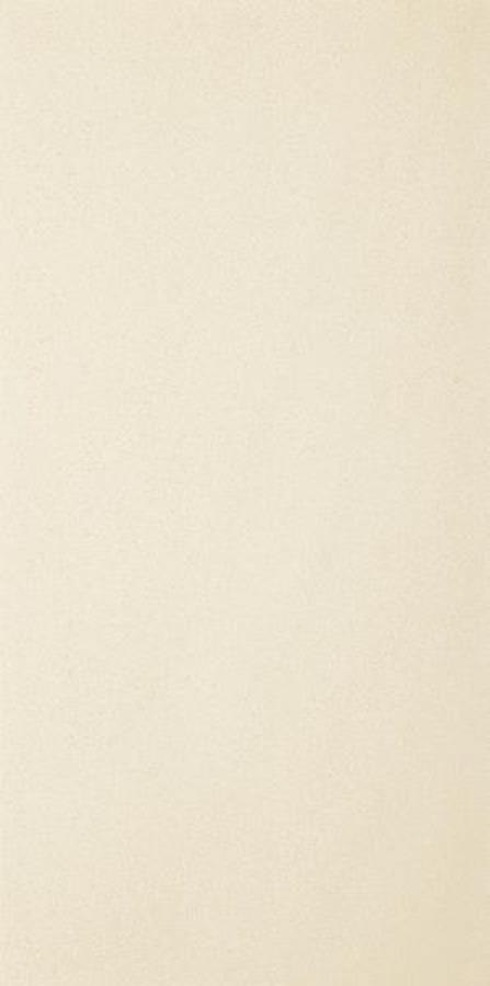 ARKESIA BIANCO GRES REKT. MAT. 29,8X59,8 ARKESIA BIANCO GRES REKT. MAT. 29,8X59,8