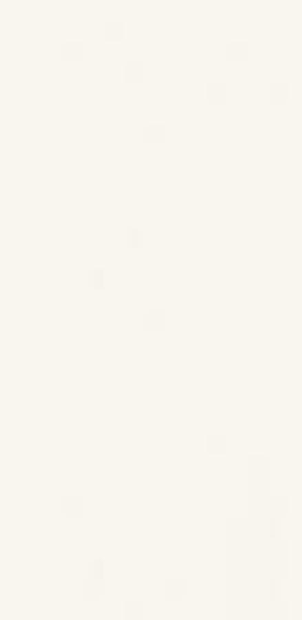 GAMMA BIANCO SCIANA MAT. 9,8X29,8 GAMMA BIANCO SCIANA MAT. 9,8X29,8