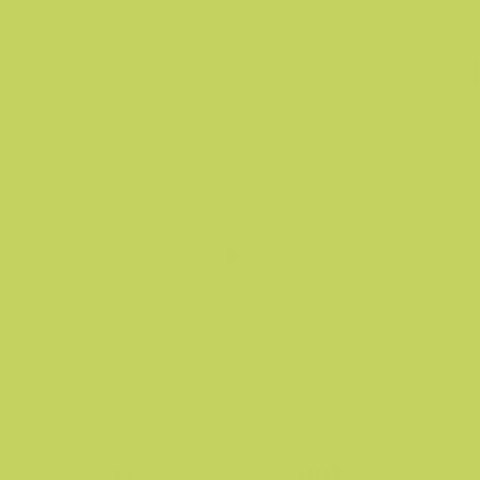 GAMMA SELEDYNOWA SCIANA POLYSK 19,8X19,8 GAMMA SELEDYNOWA SCIANA POLYSK 19,8X19,8