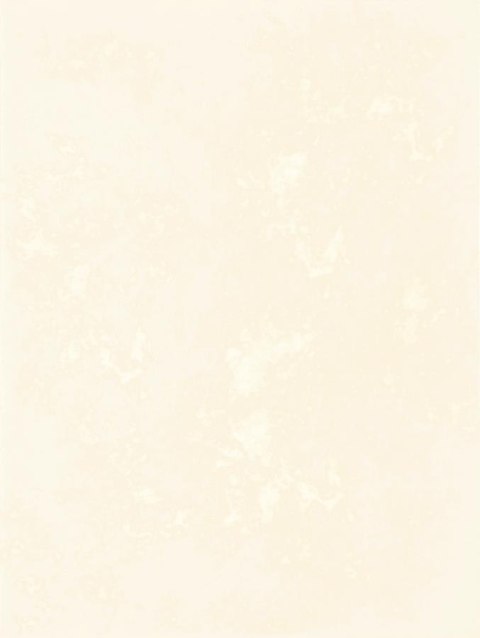 TANI BEIGE SCIANA 25X33,3 TANI BEIGE SCIANA 25X33,3