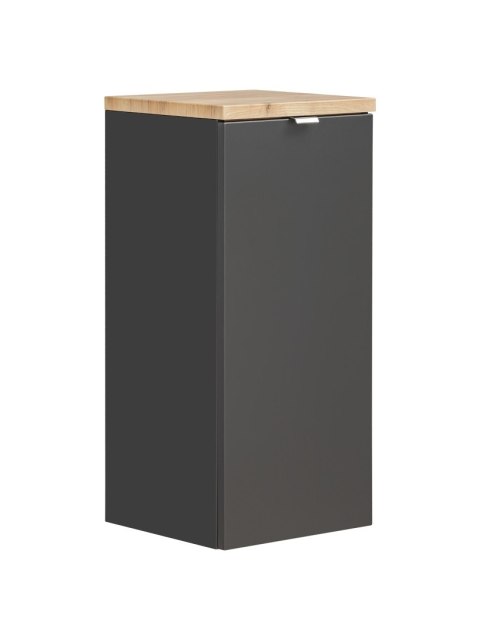 Capri Cosmos Base Cabinet - 35cm with Single Door