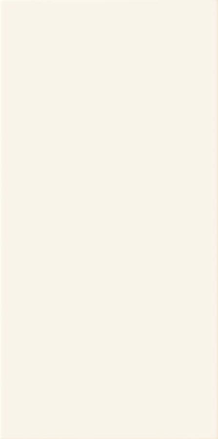 DELICE WHITE 44,8X22,3 DELICE WHITE 44,8X22,3