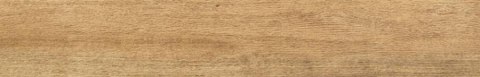 ENTINA WOOD BROWN 19X119,8 ENTINA WOOD BROWN 19X119,8