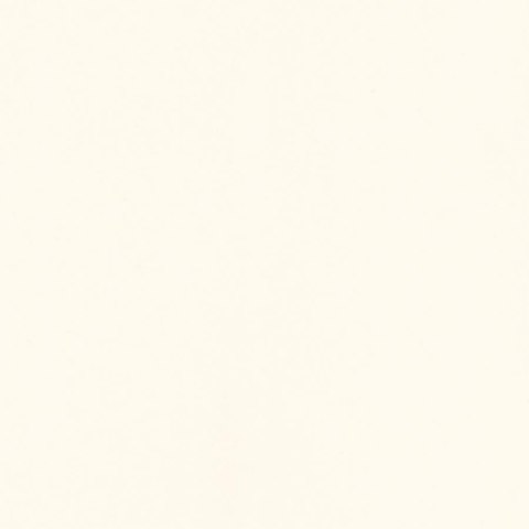 INWESTA BIANCO SCIANA POLYSK 19,8X19,8 INWESTA BIANCO SCIANA POLYSK 19,8X19,8