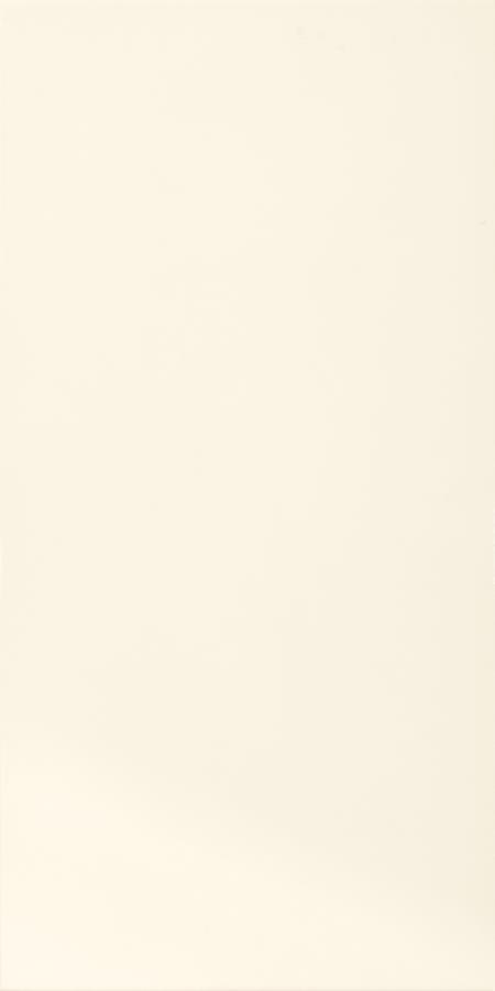 TONNES BIANCO SCIANA 30X60 TONNES BIANCO SCIANA 30X60