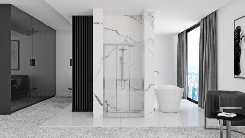 Shower Door Alex Chrome 80