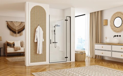 Shower Door Hugo Black 80