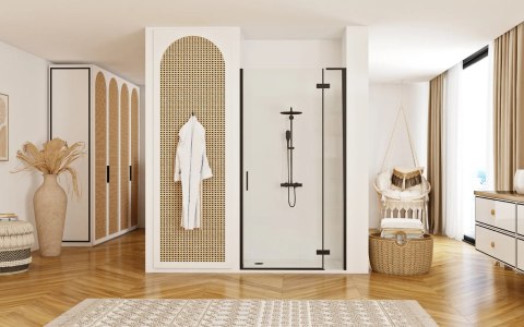 Shower Door Hugo Black 80