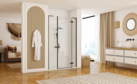 Shower Door Hugo Black 80