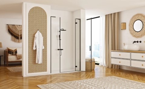 Shower Door Hugo Black 80