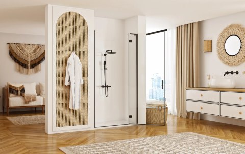 Shower Door Hugo Black 80
