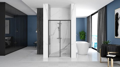 Shower Door Solar Black 100