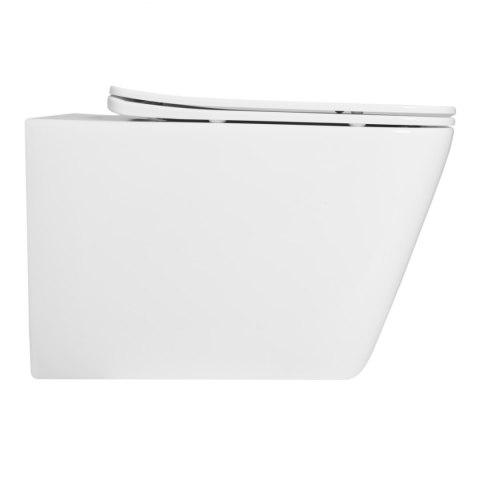 Rimless Wall-Hung Toilet Bowl Raul Rimless Wall-Hung Toilet Bowl Raul