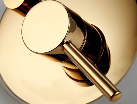 Concealed Shower Set REA LUNGO Gold + BOX