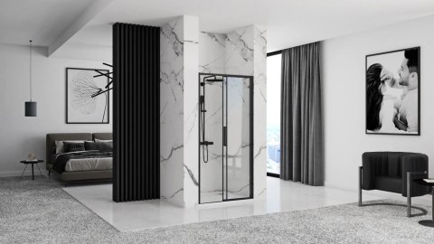 Shower Door Rapid Slide Black 110