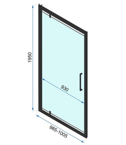 Shower Door Rapid Swing Black 70