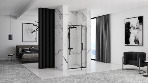 Shower Door Rapid Swing Black 70