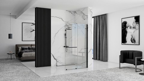 Shower Wall Cortis Black 120