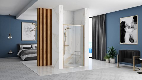 Shower Door Solar Gold 100