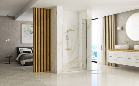 Shower Door Hugo Brush Gold 100