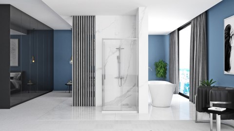 Shower Door Rapid Slide Chrome 110 Shower Door Rapid Slide Chrome 110