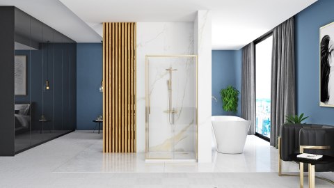 Shower Door Rapid Slide Gold 120 Shower Door Rapid Slide Gold 120