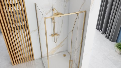 Shower Door Rapid Swing Gold 100
