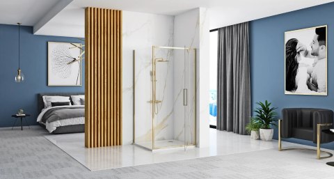Shower Door Rapid Swing Gold 100