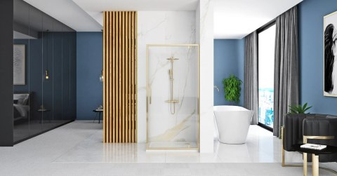 Shower Door Rapid Swing Gold 100