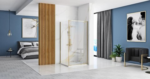 Shower Door Rapid Swing Gold 90