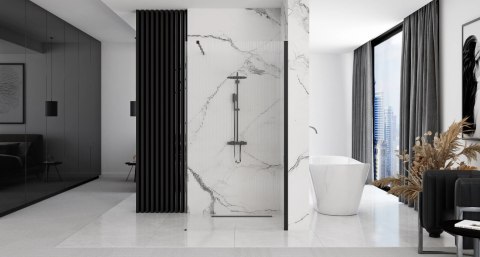 Shower Wall Aero Intimo Black 120