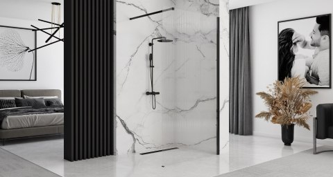 Shower Wall Aero Intimo Black 120