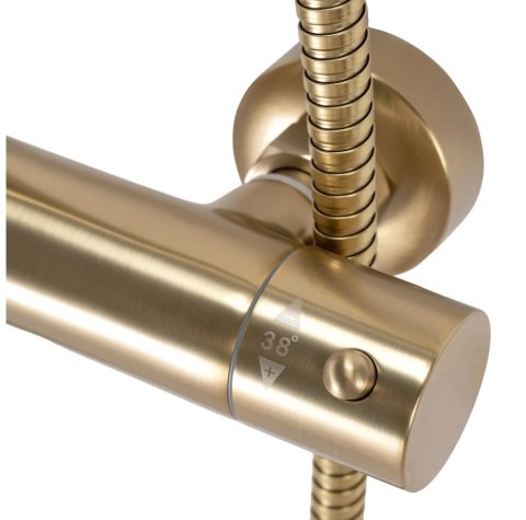 Thermostatic Shower Set REA PAROT Brushed Gold
