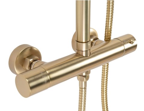 Thermostatic Shower Set REA PAROT Brushed Gold