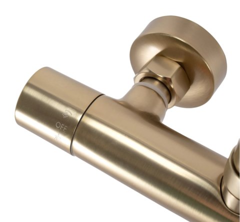 Thermostatic Shower Set REA PAROT Brushed Gold