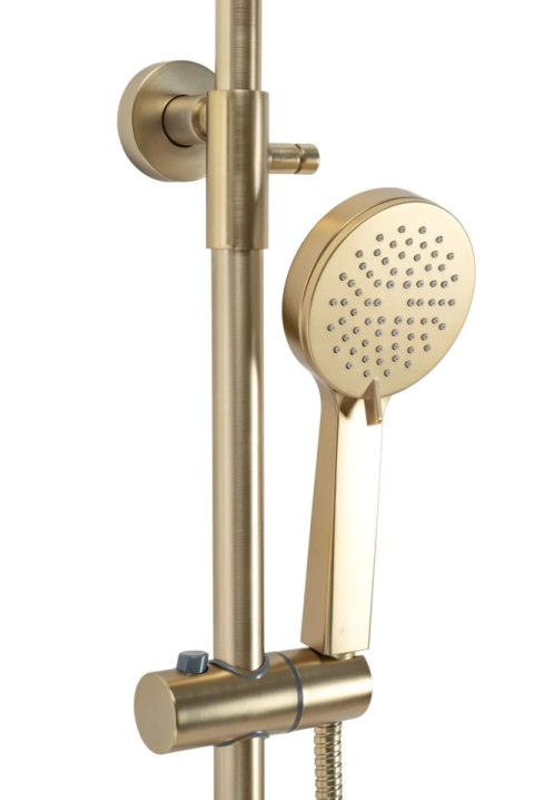 Thermostatic Shower Set REA PAROT Brushed Gold