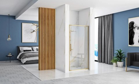 Shower Door Rapid Swing Brush Gold 90
