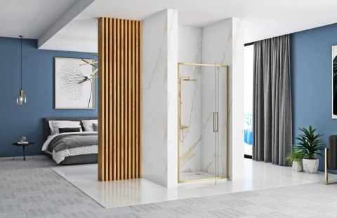 Shower Door Rapid Swing Brush Gold 90