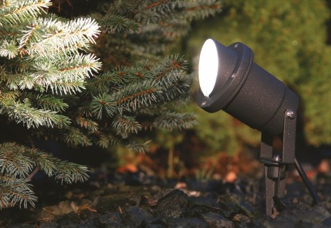 Lampy gruntowe - BUSH Lampy gruntowe - BUSH