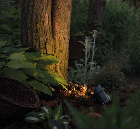 Lampy gruntowe - BUSH Lampy gruntowe - BUSH