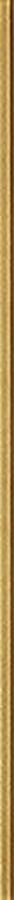 GLASS GOLD LISTWA 2,3X59,8