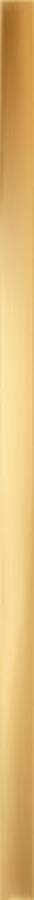 GOLD GLOSSY LISTWA 2,3X59,8 GOLD GLOSSY LISTWA 2,3X59,8