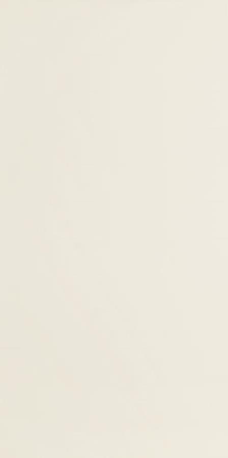 MODERN PEARL BEIGE 59,8X29,8 MODERN PEARL BEIGE 59,8X29,8