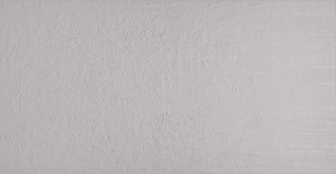 MOON GRIGIO 30x60
