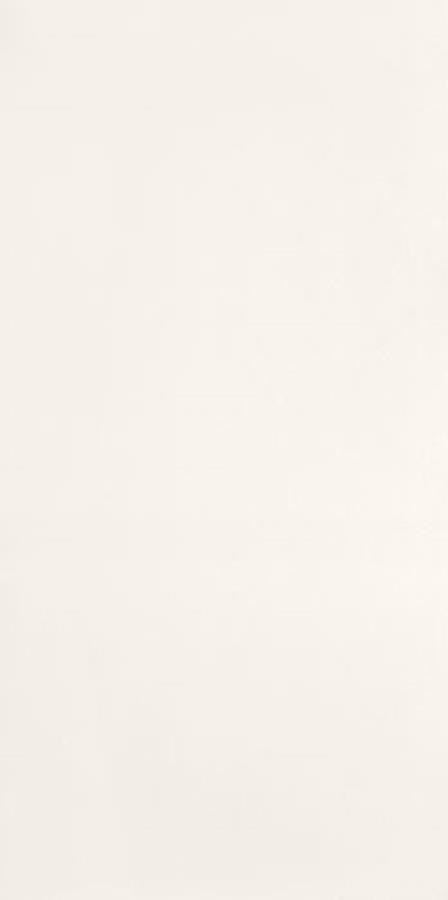 TOUCH WHITE 59,8X29,8 TOUCH WHITE 59,8X29,8
