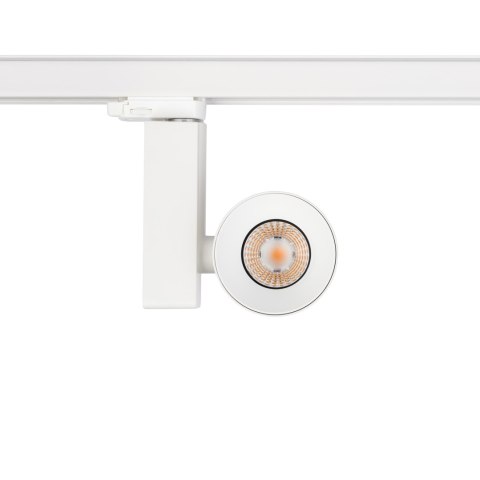 Lampy - CTLS NEA LED 20W Lampy - CTLS NEA LED 20W