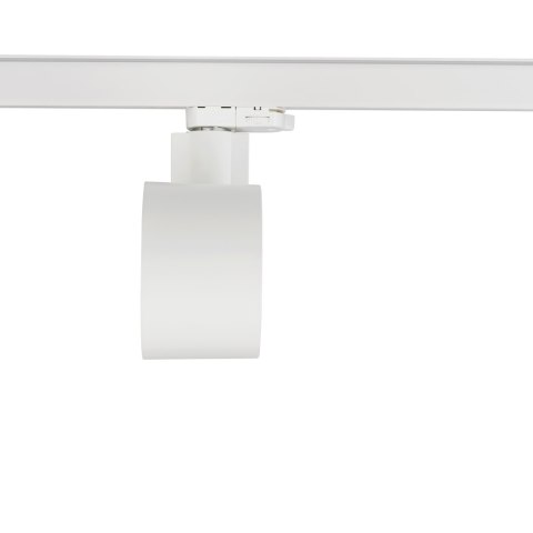 Lampy - CTLS NEA LED 30W Lampy - CTLS NEA LED 30W