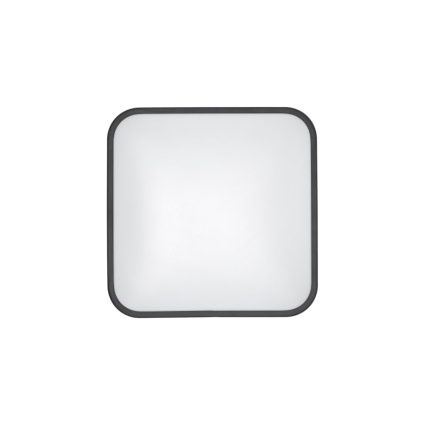 Plafony - AGNES SQUARE LED Plafony - AGNES SQUARE LED