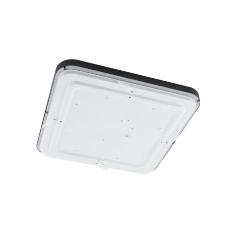 Plafony - AGNES SQUARE LED Plafony - AGNES SQUARE LED