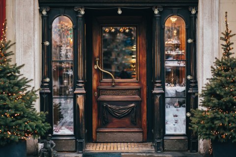 Festoon - FESTOON LIGHTS 9m